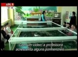 North Korea Documentary – Toda a verdade (Legendado)